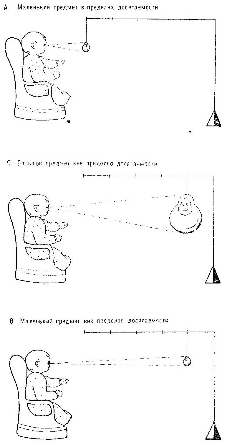 Восприятие удаленности (дотягивание) Восприятие удаленности (дотягивание)