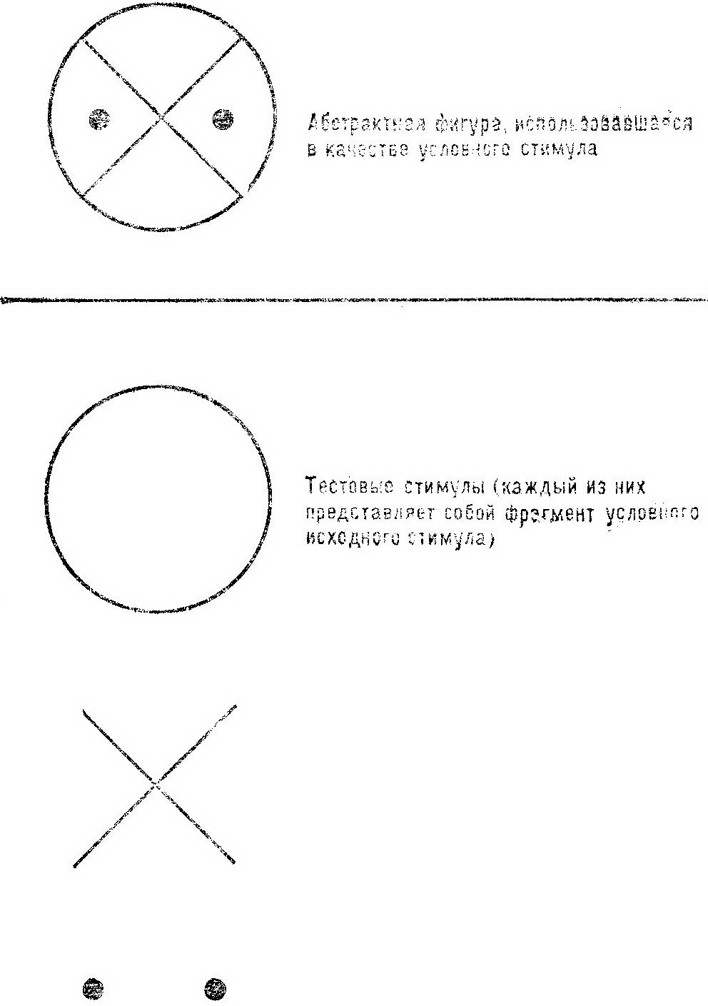 Восприятие предметов (ретинальная проекция)