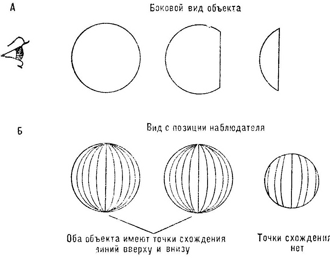 Восприятие предметов (восприятие «схватываемости») Восприятие предметов (восприятие «схватываемости»)