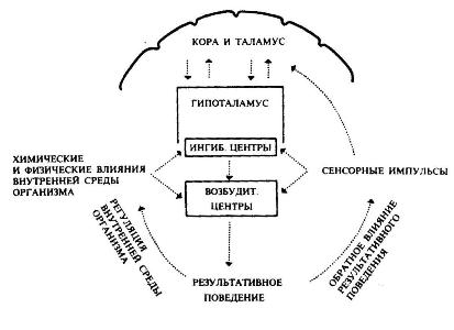 Схема физиологического влияния мотивации