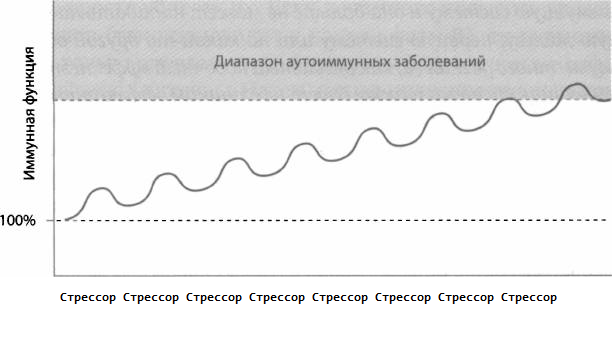 Рис. 30. Схематическое изображение того, как повторный стресс увеличивает риск аутоиммунных заболеваний